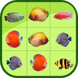 bibo必博体育·(中国)app